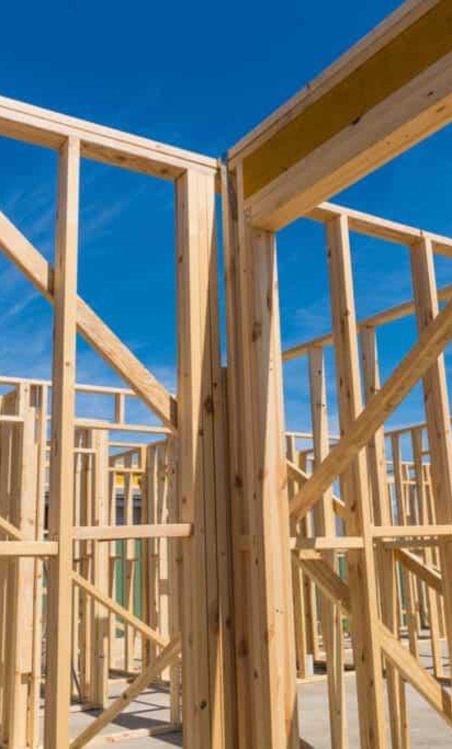 WhatsApp Image 2025-11-21 at 9.19.17 AM (2)